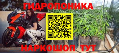 a pvp Кулебаки