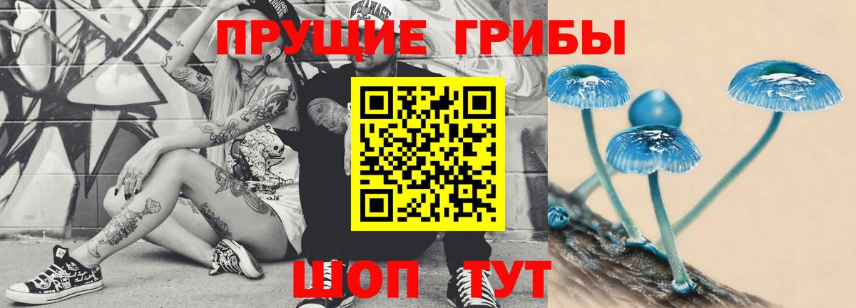 Псилоцибиновые грибы мухоморы  Галлюциногенные грибы Psilocybine cubensis  Вход с VPN  Кириши 