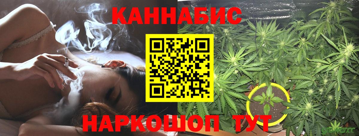 Кириши  Бошки марихуана планчик  Бошки марихуана индика  Вход с VPN  Марихуана гибрид 